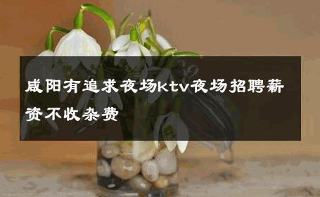 咸阳有追求夜场ktv夜场招聘薪资不收杂费 