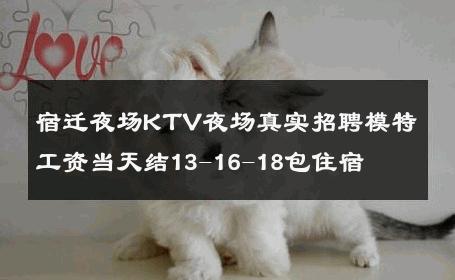 宿迁夜场KTV夜场真实招聘模特工资当天结13-16-18包住宿 