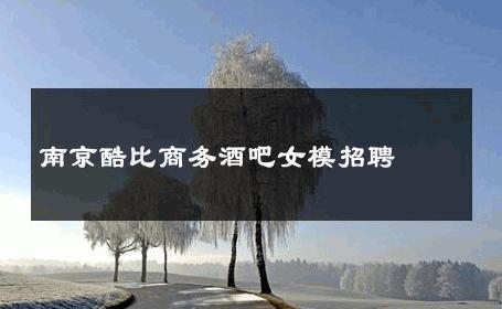南京酷比商务酒吧女模招聘 