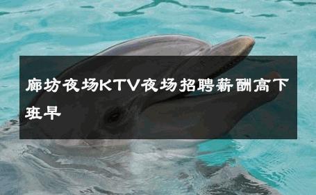 廊坊夜场KTV夜场招聘薪酬高下班早 