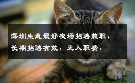 深圳生意最好夜场招聘兼职，长期招聘有效，无入职费，  