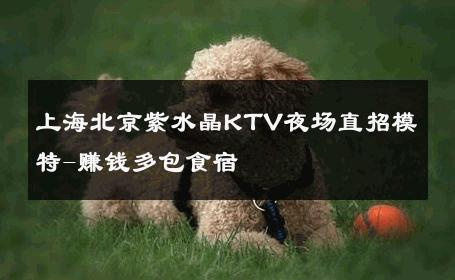 上海北京紫水晶KTV夜场直招模特-赚钱多包食宿 