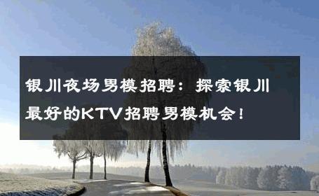 银川夜场男模招聘：探索银川最好的KTV招聘男模机会！ 