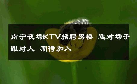 南宁夜场KTV招聘男模-选对场子跟对人-期待加入 