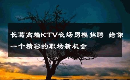 长葛高端KTV夜场男模招聘-给你一个精彩的职场新机会 