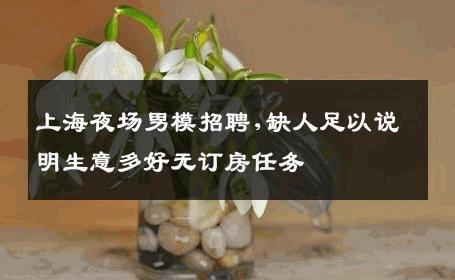 上海夜场男模招聘,缺人足以说明生意多好无订房任务 