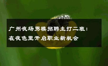 广州夜场男模招聘主打二班：在夜色里开启职业新机会 