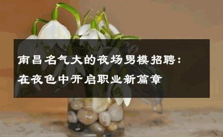 南昌名气大的夜场男模招聘：在夜色中开启职业新篇章 
