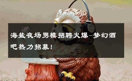 海盐夜场男模招聘火爆-梦幻酒吧热力招募！ 