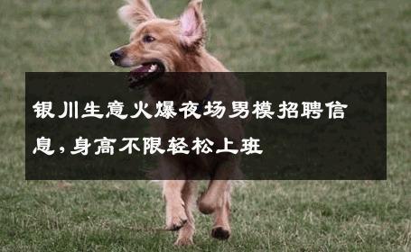 银川生意火爆夜场男模招聘信息,身高不限轻松上班 