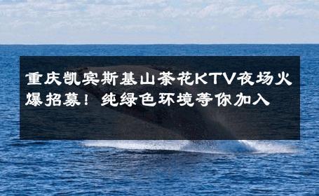 重庆凯宾斯基山茶花KTV夜场火爆招募！纯绿色环境等你加入 