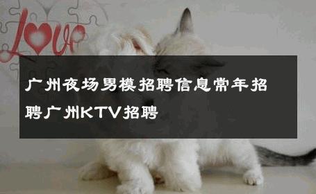 广州夜场男模招聘信息常年招聘广州KTV招聘 