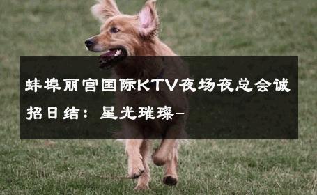 蚌埠丽宫国际KTV夜场夜总会诚招日结：星光璀璨- 