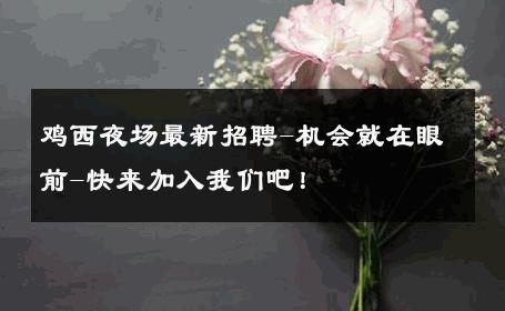 鸡西夜场最新招聘-机会就在眼前-快来加入我们吧！ 