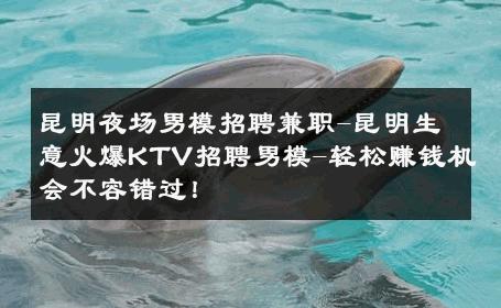 昆明夜场男模招聘兼职-昆明生意火爆KTV招聘男模-轻松赚钱机会不容错过！ 