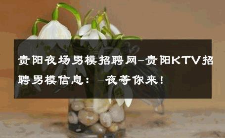 贵阳夜场男模招聘网-贵阳KTV招聘男模信息：-夜等你来！ 
