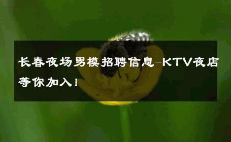 长春夜场男模招聘信息-KTV夜店等你加入！ 