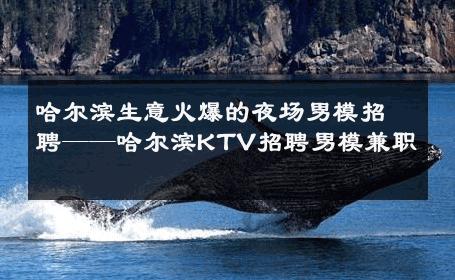 哈尔滨生意火爆的夜场男模招聘——哈尔滨KTV招聘男模兼职 