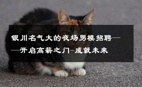银川名气大的夜场男模招聘——开启高薪之门-成就未来 