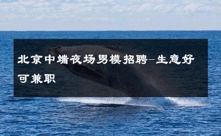 北京中端夜场男模招聘-生意好可兼职 