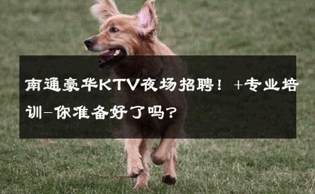 南通豪华KTV夜场招聘！+专业培训-你准备好了吗？ 