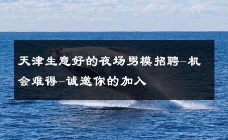 天津生意好的夜场男模招聘-机会难得-诚邀你的加入 