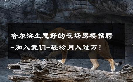 哈尔滨生意好的夜场男模招聘-加入我们-轻松月入过万！ 