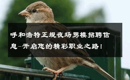呼和浩特正规夜场男模招聘信息-开启您的精彩职业之路！ 