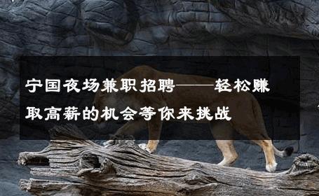 宁国夜场兼职招聘——轻松赚取高薪的机会等你来挑战 