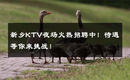 新乡KTV夜场火热招聘中！待遇等你来挑战！ 