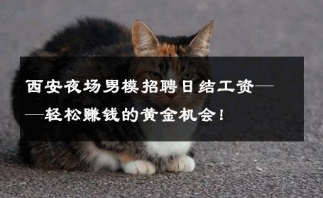 西安夜场男模招聘日结工资——轻松赚钱的黄金机会！ 