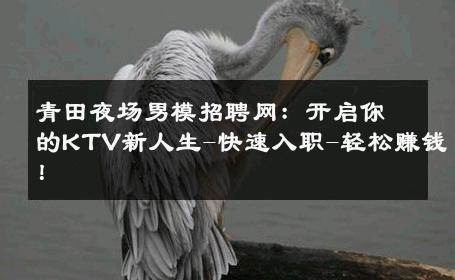 青田夜场男模招聘网：开启你的KTV新人生-快速入职-轻松赚钱！ 