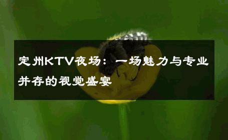 定州KTV夜场：一场魅力与专业并存的视觉盛宴 