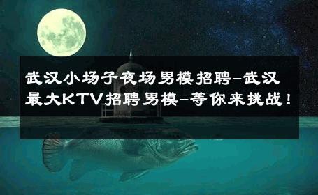 武汉小场子夜场男模招聘-武汉最大KTV招聘男模-等你来挑战！ 