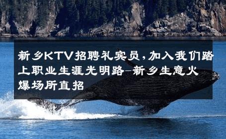新乡KTV招聘礼宾员,加入我们踏上职业生涯光明路-新乡生意火爆场所直招