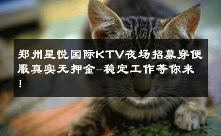 郑州星悦国际KTV夜场招募穿便服真实无押金-稳定工作等你来！ 