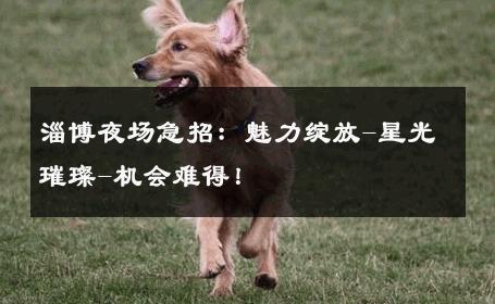淄博夜场急招：魅力绽放-星光璀璨-机会难得！ 
