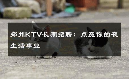 郑州KTV长期招聘：点亮你的夜生活事业 
