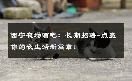 西宁夜场酒吧：长期招聘-点亮你的夜生活新篇章！ 