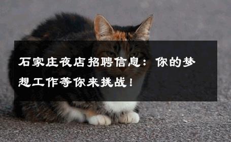石家庄夜店招聘信息：你的梦想工作等你来挑战！ 