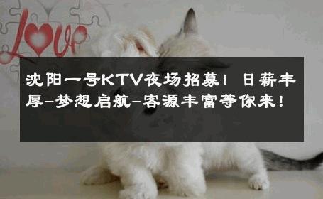 沈阳一号KTV夜场招募！日薪丰厚-梦想启航-客源丰富等你来！ 