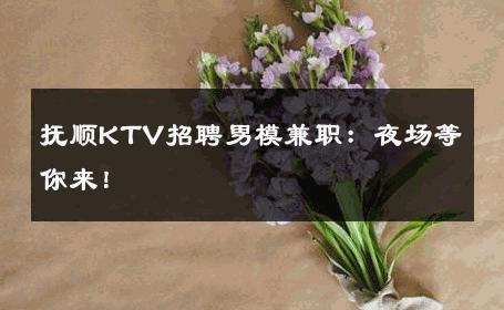 抚顺KTV招聘男模兼职：夜场等你来！ 