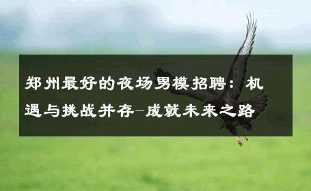 郑州最好的夜场男模招聘：机遇与挑战并存-成就未来之路 