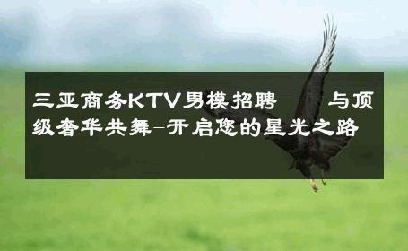 三亚商务KTV男模招聘——与顶级奢华共舞-开启您的星光之路 
