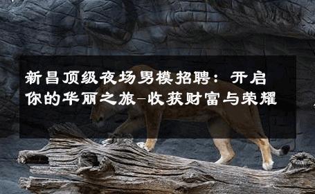 新昌顶级夜场男模招聘：开启你的华丽之旅-收获财富与荣耀 