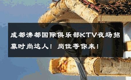 成都沸都国际俱乐部KTV夜场招募时尚达人！岗位等你来！ 