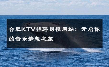 合肥KTV招聘男模网站：开启你的音乐梦想之旅 