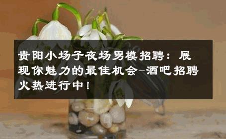 贵阳小场子夜场男模招聘：展现你魅力的最佳机会-酒吧招聘火热进行中！ 