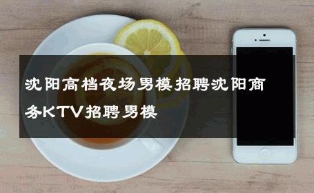 沈阳高档夜场男模招聘沈阳商务KTV招聘男模 