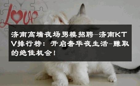 济南高端夜场男模招聘-济南KTV排行榜：开启奢华夜生活-赚取的绝佳机会！ 